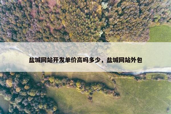 盐城网站开发单价高吗多少，盐城网站外包