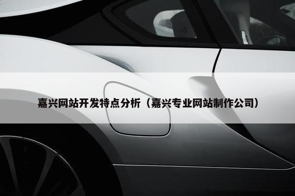 嘉兴网站开发特点分析（嘉兴专业网站制作公司）
