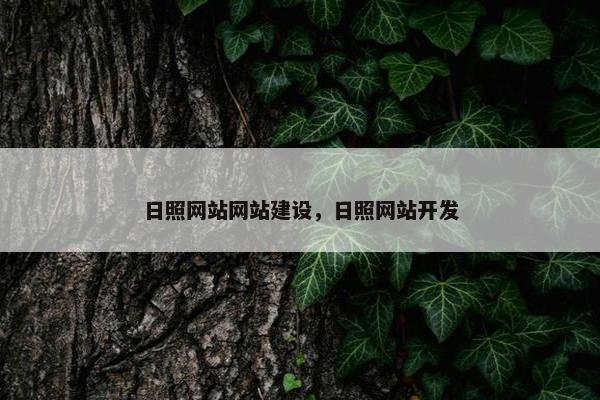 日照网站网站建设，日照网站开发
