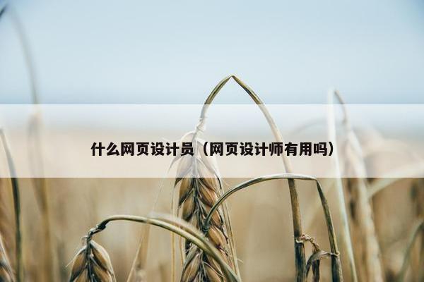 什么网页设计员（网页设计师有用吗）