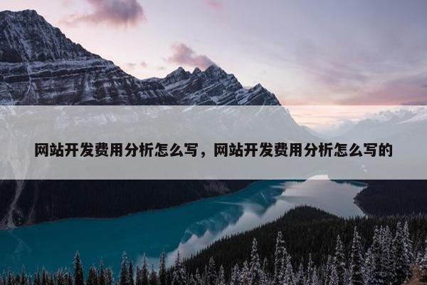 网站开发费用分析怎么写，网站开发费用分析怎么写的