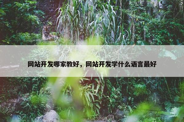 网站开发哪家教好，网站开发学什么语言最好