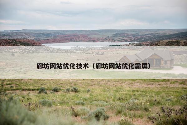 廊坊网站优化技术（廊坊网站优化霸屏）