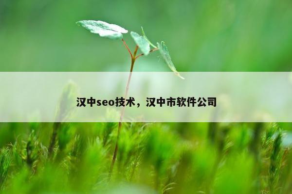 汉中seo技术，汉中市软件公司