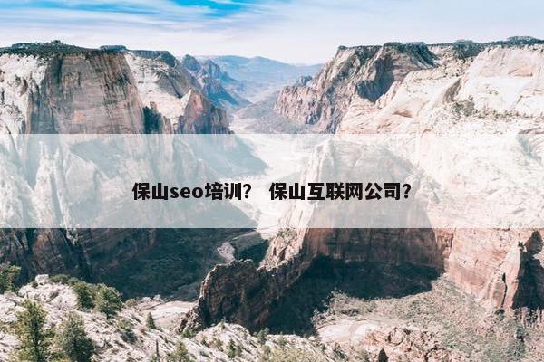 保山seo培训？ 保山互联网公司？