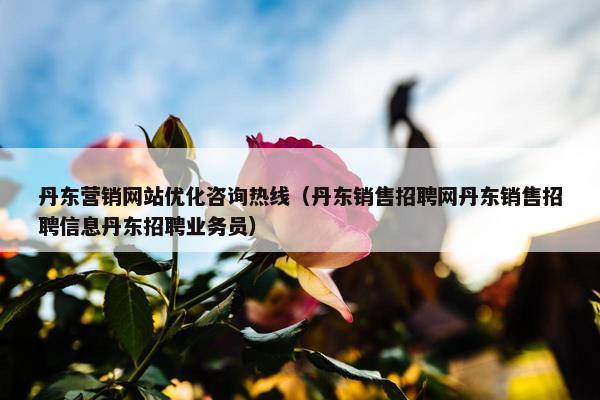 丹东营销网站优化咨询热线（丹东销售招聘网丹东销售招聘信息丹东招聘业务员）