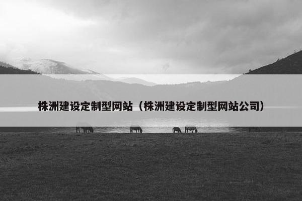 株洲建设定制型网站（株洲建设定制型网站公司）