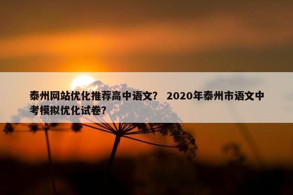 泰州网站优化推荐高中语文？ 2020年泰州市语文中考模拟优化试卷？