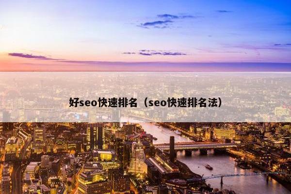 好seo快速排名（seo快速排名法）