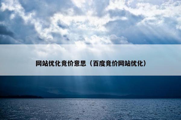 网站优化竞价意思（百度竞价网站优化）