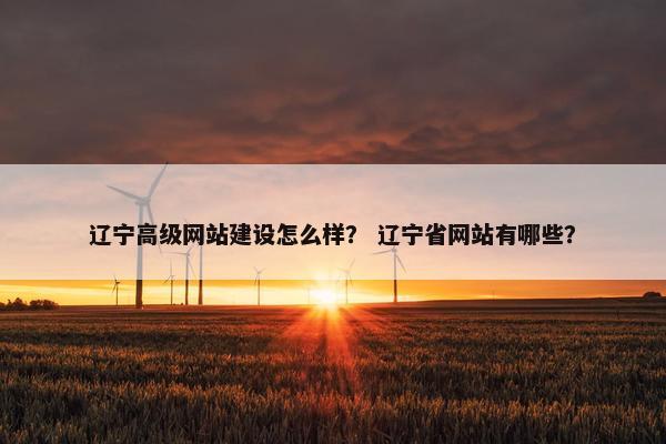 辽宁高级网站建设怎么样？ 辽宁省网站有哪些？