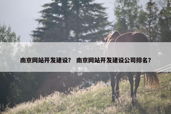 南京网站开发建设？ 南京网站开发建设公司排名？