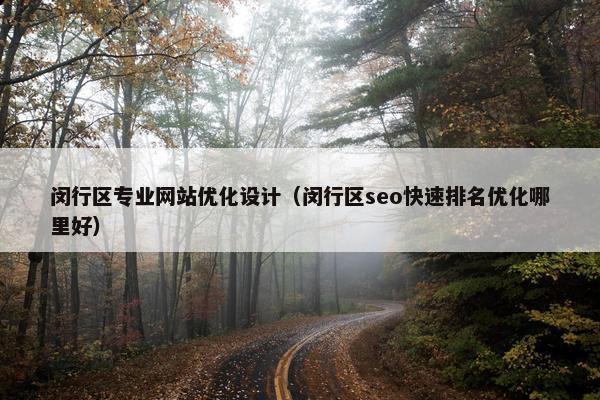 闵行区专业网站优化设计（闵行区seo快速排名优化哪里好）