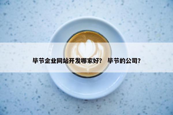 毕节企业网站开发哪家好？ 毕节的公司？