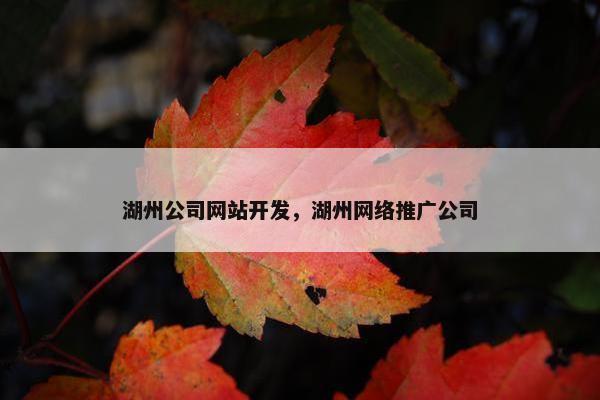 湖州公司网站开发，湖州网络推广公司