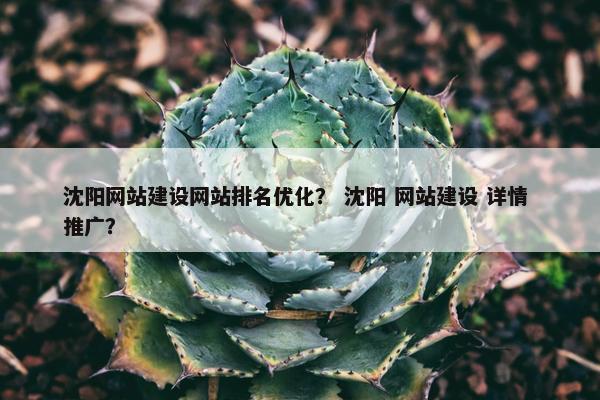 沈阳网站建设网站排名优化？ 沈阳 网站建设 详情 推广？