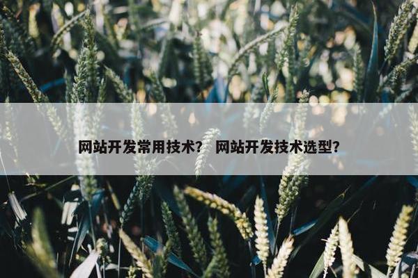 网站开发常用技术？ 网站开发技术选型？