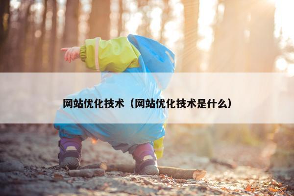 网站优化技术（网站优化技术是什么）