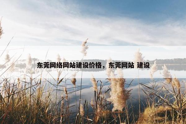 东莞网络网站建设价格，东莞网站 建设