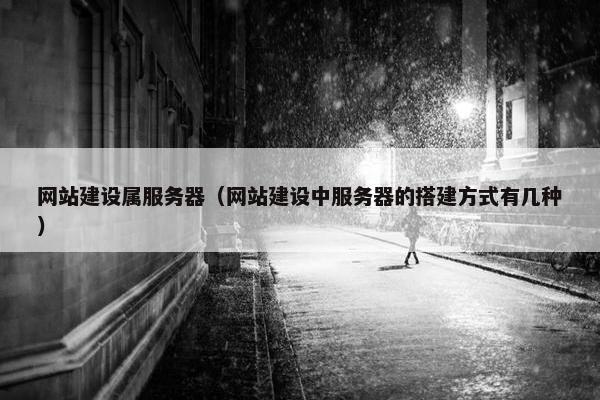 网站建设属服务器（网站建设中服务器的搭建方式有几种）