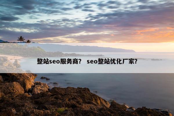 整站seo服务商？ seo整站优化厂家？
