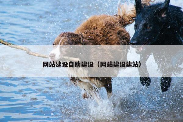 网站建设自助建设（网站建设建站）