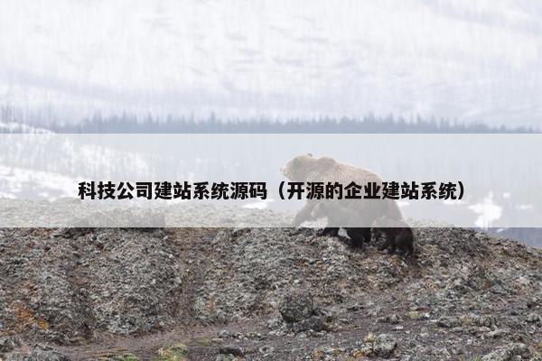 科技公司建站系统源码（开源的企业建站系统）