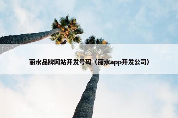 丽水品牌网站开发号码（丽水app开发公司）