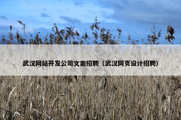武汉网站开发公司文案招聘（武汉网页设计招聘）
