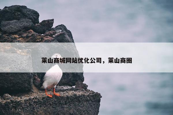 莱山商城网站优化公司，莱山商圈