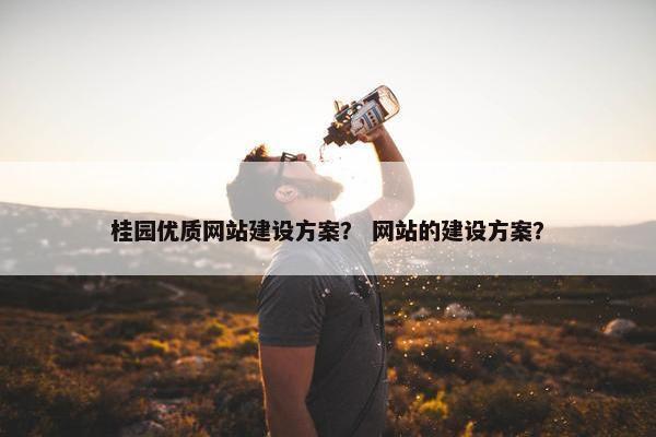 桂园优质网站建设方案？ 网站的建设方案？