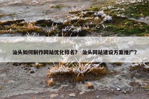 汕头如何制作网站优化排名？ 汕头网站建设方案推广？
