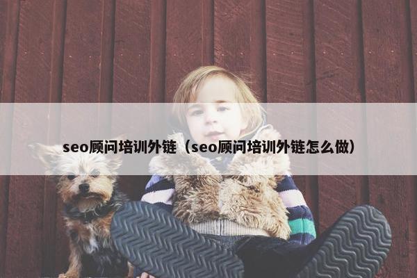 seo顾问培训外链（seo顾问培训外链怎么做）