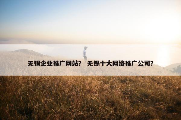 无锡企业推广网站？ 无锡十大网络推广公司？