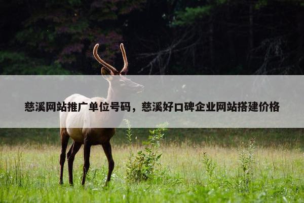 慈溪网站推广单位号码，慈溪好口碑企业网站搭建价格