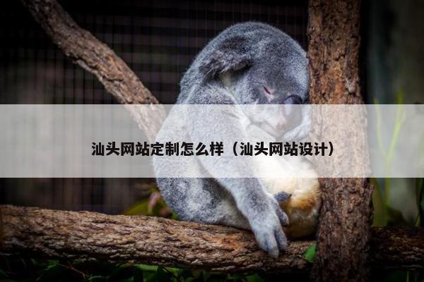 汕头网站定制怎么样（汕头网站设计）