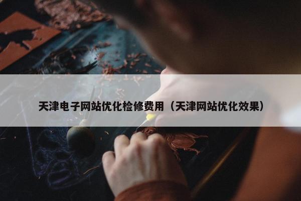 天津电子网站优化检修费用（天津网站优化效果）
