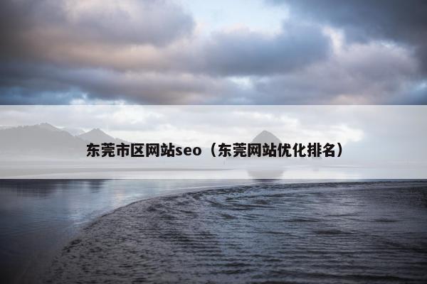 东莞市区网站seo（东莞网站优化排名）