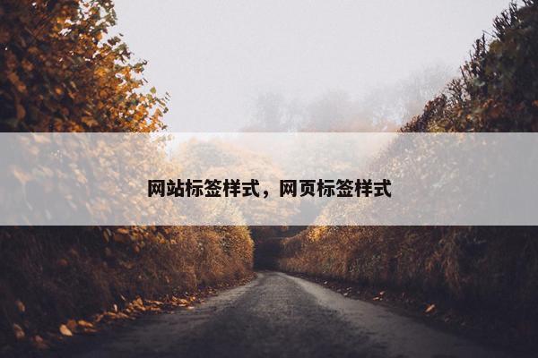 网站标签样式，网页标签样式