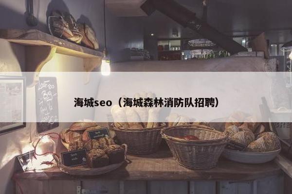 海城seo（海城森林消防队招聘）