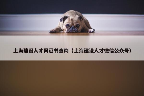 上海建设人才网证书查询（上海建设人才微信公众号）