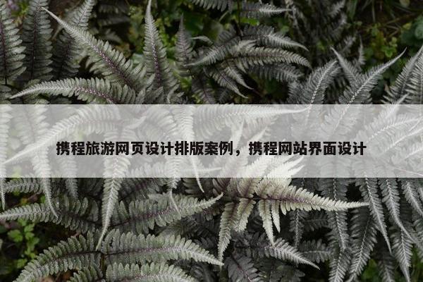 携程旅游网页设计排版案例，携程网站界面设计