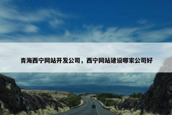 青海西宁网站开发公司，西宁网站建设哪家公司好