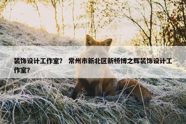装饰设计工作室？ 常州市新北区新桥博之辉装饰设计工作室？