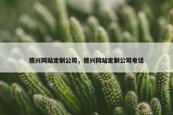 德兴网站定制公司，德兴网站定制公司电话