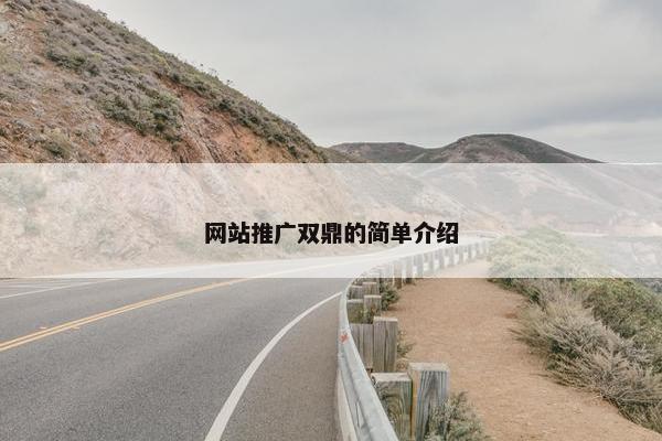 网站推广双鼎的简单介绍