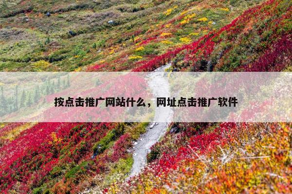 按点击推广网站什么，网址点击推广软件