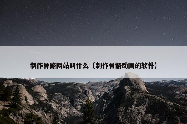 制作骨骼网站叫什么（制作骨骼动画的软件）