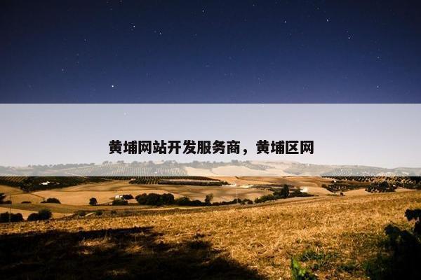 黄埔网站开发服务商，黄埔区网