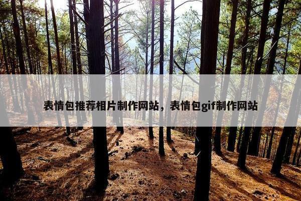 表情包推荐相片制作网站，表情包gif制作网站